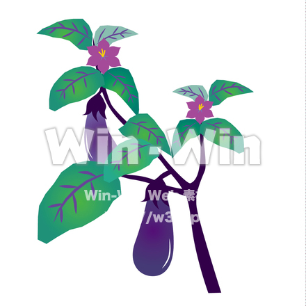 なすのCG・イラスト素材 W-028245