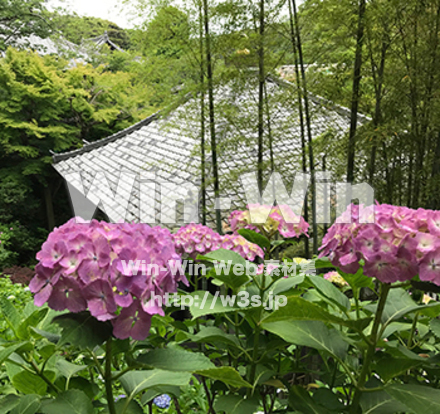 長谷寺の写真素材 W-028862