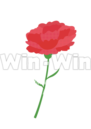 カーネーションのCG・イラスト素材 W-029751