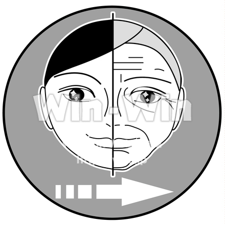 老化のCG・イラスト素材 W-029550