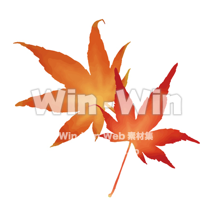 もみじのCG・イラスト素材 W-029765