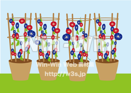 朝顔のアートブラシのCG・イラスト素材 W-028349