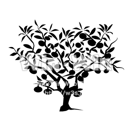 ミカンの木のシルエット素材 W-028490