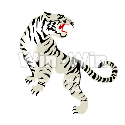 ホワイトタイガーのCG・イラスト素材 W-028450