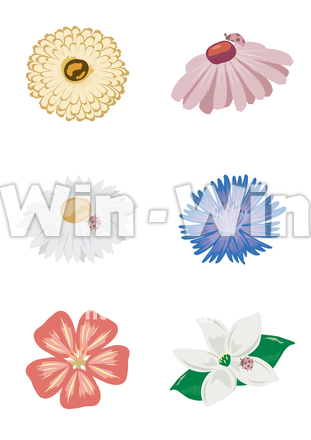ハーブ 花 イラストセットのCG・イラスト素材 W-029620