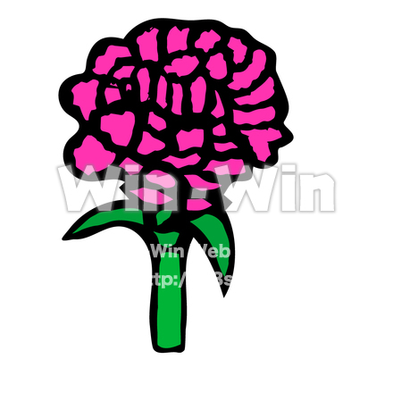 カーネーションのCG・イラスト素材 W-028934