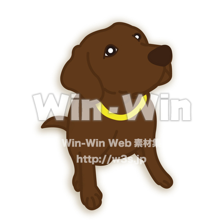 ラブラドールレトリバーのCG・イラスト素材 W-028848