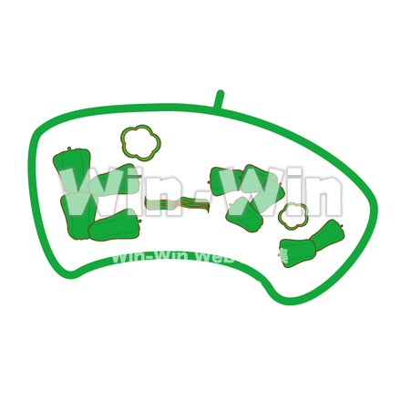 ピーマンのCG・イラスト素材 W-029702