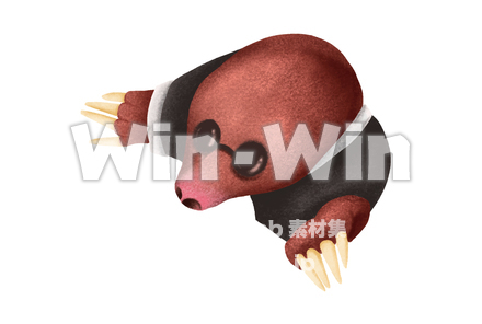 おやゆび姫_もぐらのCG・イラスト素材 W-029695