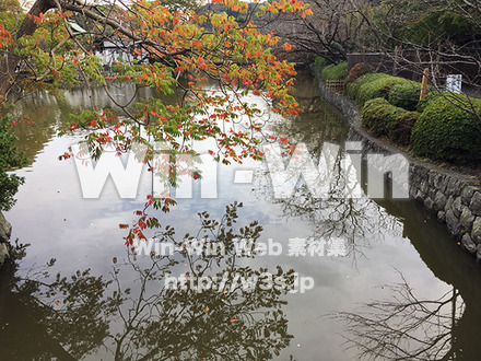 池の写真素材 W-028895