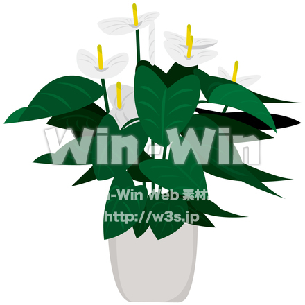 アンスリウム アラバマ　イラスト(カラー)のCG・イラスト素材 W-029450