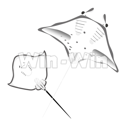 エイとマンタのCG・イラスト素材 W-029879