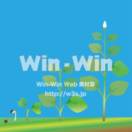 植物の成長のCG・イラスト素材 W-029561