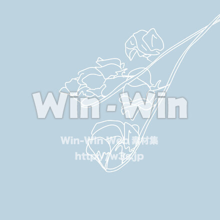 スイトピーのCG・イラスト素材 W-028586