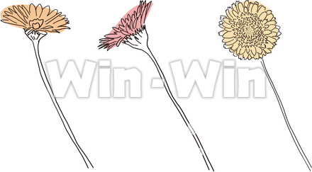 素材＿花のCG・イラスト素材 W-029921
