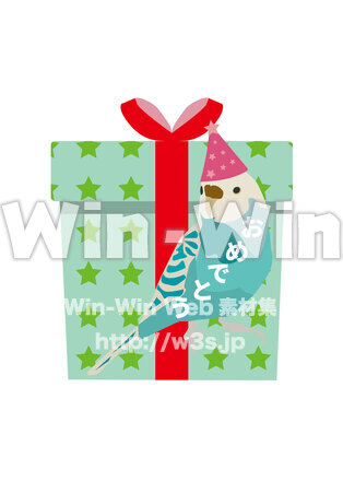 インコとプレゼントのCG・イラスト素材 W-029759