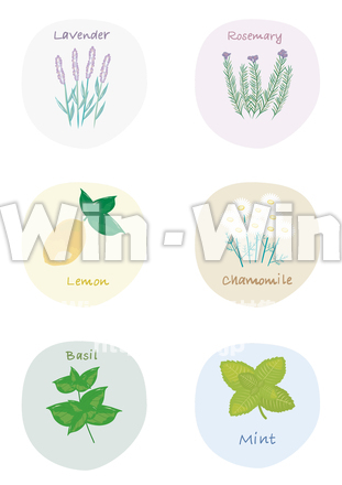 ハーブ イラストセットのCG・イラスト素材 W-029619