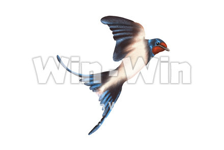 つばめのCG・イラスト素材 W-029694