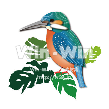 カワセミのCG・イラスト素材 W-030856