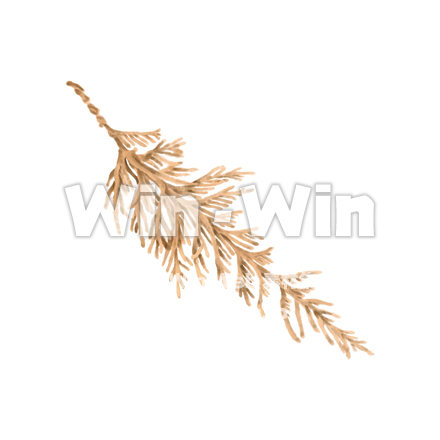 杉のCG・イラスト素材 W-030062