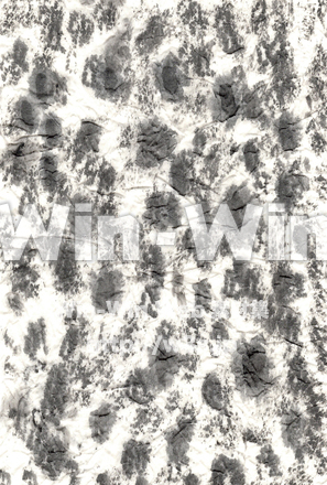 水墨模様5のCG・イラスト素材 W-030761