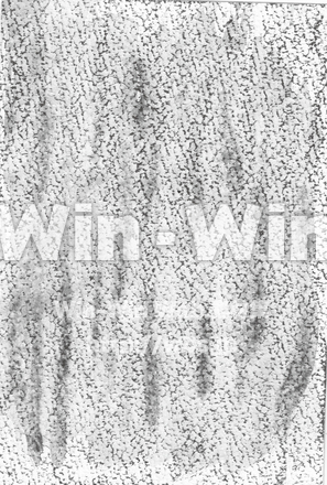 水墨模様10のCG・イラスト素材 W-030780