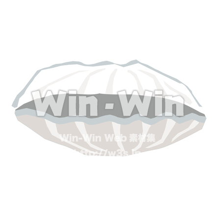 シャコ貝のCG・イラスト素材 W-030587