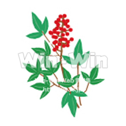 南天1のCG・イラスト素材 W-030709