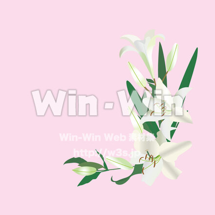 百合のCG・イラスト素材 W-030022