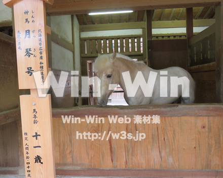 神馬月琴号の写真素材 W-030771