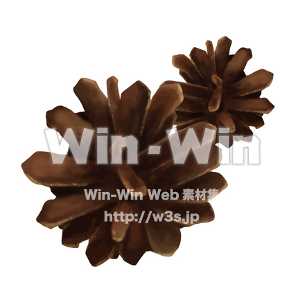 松ぼっくりのCG・イラスト素材 W-030063