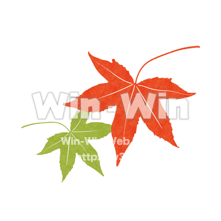 もみじのCG・イラスト素材 W-030891